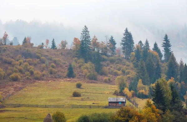 Sonbahar Karpatlar (Ukrayna). — Stok fotoğraf