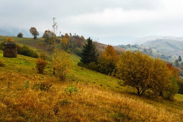 Carpazi d'autunno (Ucraina ). — Foto Stock