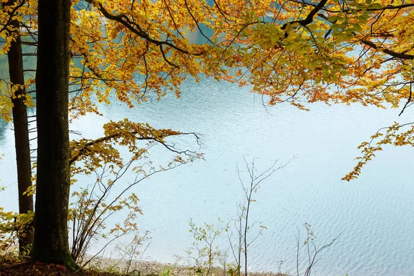 Lago Synevyr vista de otoño . — Foto de Stock