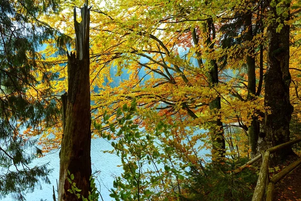 Lake Synevyr herfst weergave. — Stockfoto