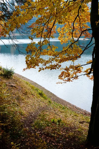 Lago Synevyr vista de outono . — Fotografia de Stock