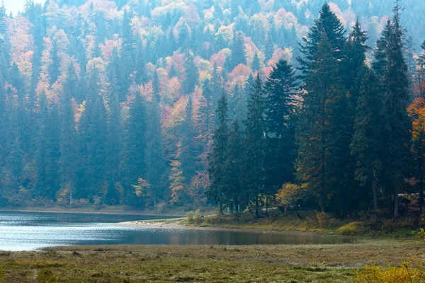 Lac Synevyr vue d'automne . — Photo