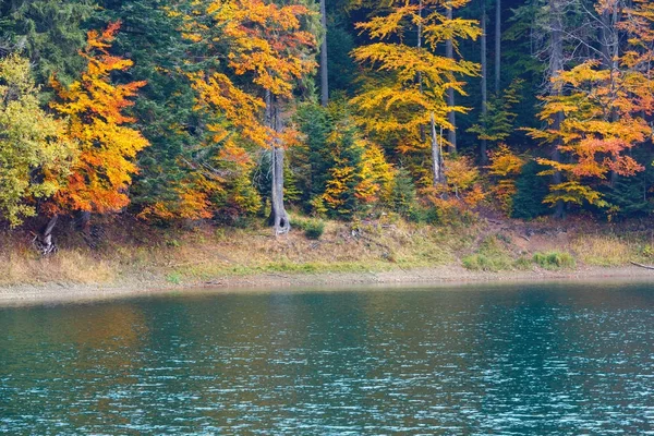 Lago Synevyr vista de outono . — Fotografia de Stock