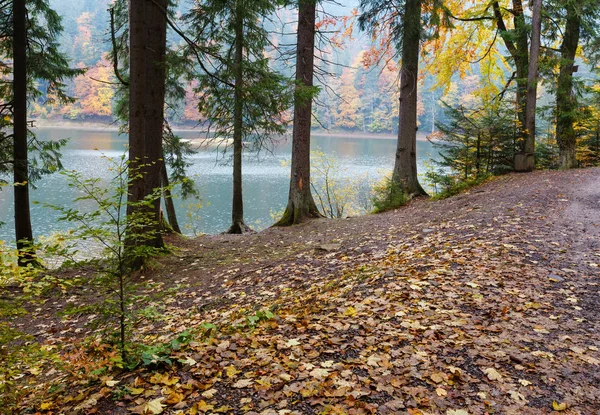 Lake Synevyr autumn view. — Stock Photo, Image