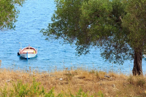 De kust van de zee van de zomer (Sithonia, Griekenland). — Stockfoto