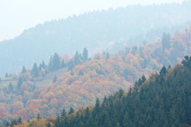 Sonbahar Karpatlar (Ukrayna). 