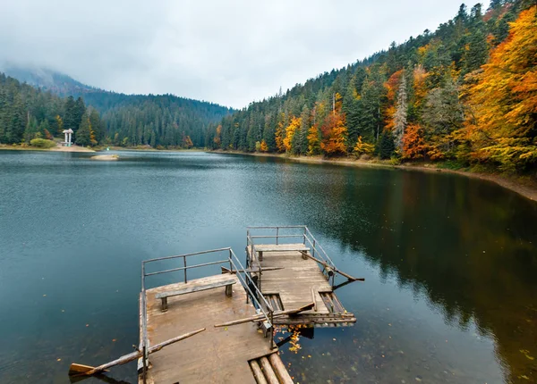 Lago Synevyr vista de otoño . — Foto de Stock