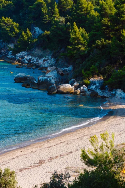 Costa do mar de verão (Halkidiki, Grécia ). — Fotografia de Stock