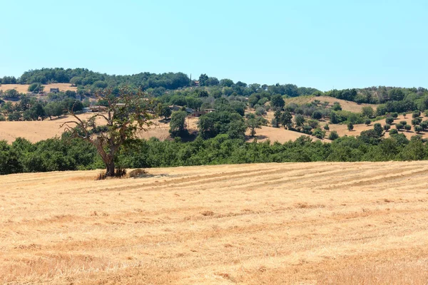 Tuscany summer countryside, Italy — Stock Photo, Image