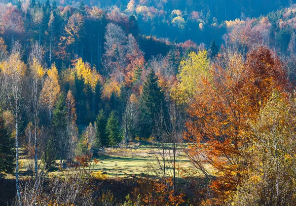 Na podzim Karpaty (Ukrajina). — Stock fotografie