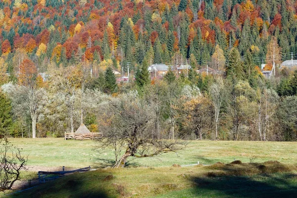 Autumn Carpathians (Ukraine). — Stock Photo, Image