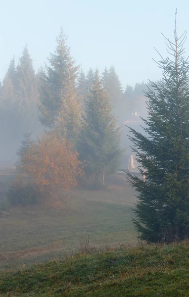 Herfst Karpaten, Oekraïne. — Stockfoto