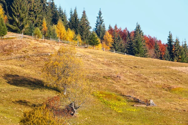 Na podzim Karpatské vesnice, Ukrajina. — Stock fotografie