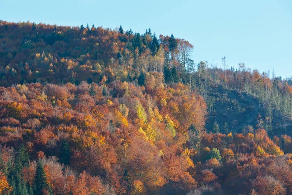 Φθινόπωρο Καρπάθια (Ουκρανία). — Φωτογραφία Αρχείου