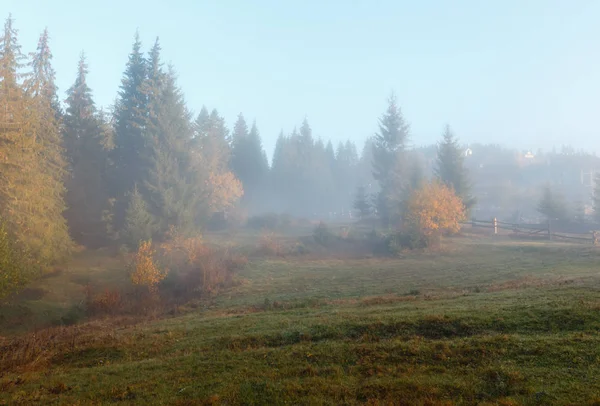 Herbstkarpaten, Ukraine. — Stockfoto