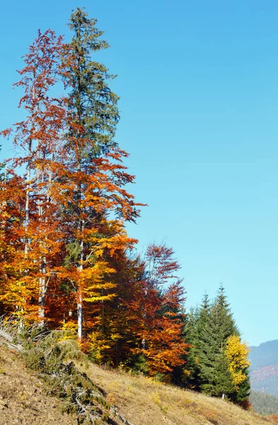 Mattina autunno Carpazi paesaggio . — Foto Stock