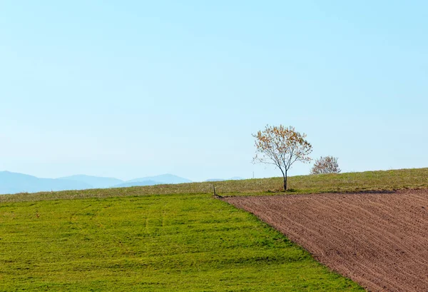 Sonbahar Karpat Köyü (Ukrayna). — Stok fotoğraf