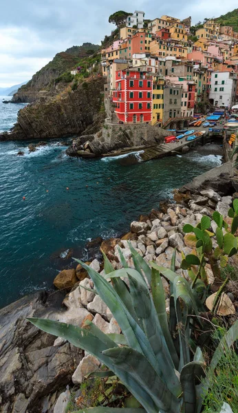 夏のManarola, Cinque Terre — ストック写真