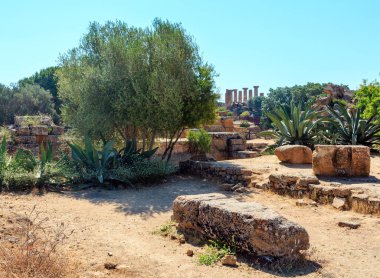 Tapınaklar Vadisi, Agrigento, Sicilya, İtalya