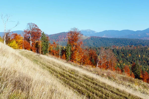 Ochtend herfst landschap van de Karpaten. — Stockfoto