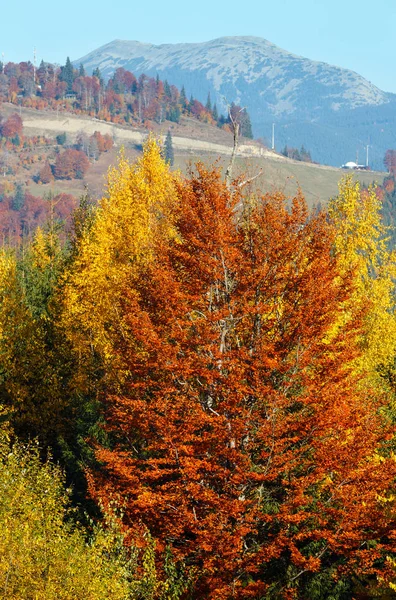 Pagi musim gugur Pemandangan Carpathians . — Stok Foto