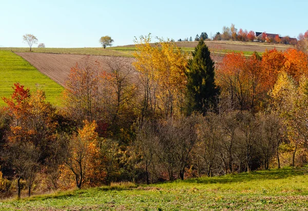 Jesienią karpackiej wsi (Ukraina). — Zdjęcie stockowe