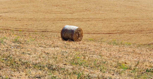 Sicília verão agricultura rural, Itália — Fotografia de Stock