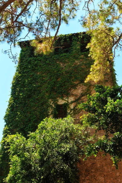 Wieża w mieście Monreale, Palermo, Sycylia, Włochy — Zdjęcie stockowe