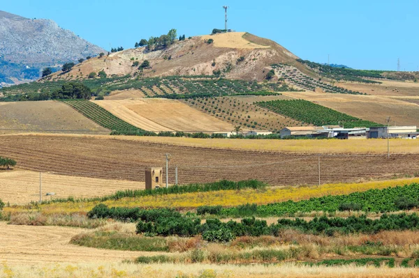 Виноградник на склоне, Италия . — стоковое фото