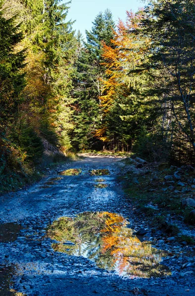 Осенняя дорога в Карпатах (Украина) ). — стоковое фото