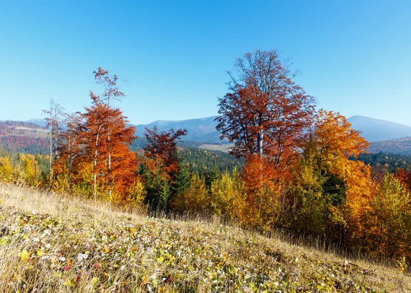 Morning autumn Carpathians landscape. — Stock Photo, Image