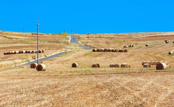 Sicilia verano agricultura campo, Italia —  Fotos de Stock