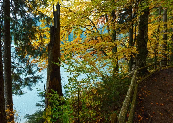 Lac Synevyr vue d'automne . — Photo