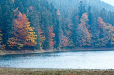 Lake Synevyr sonbahar görünümü.
