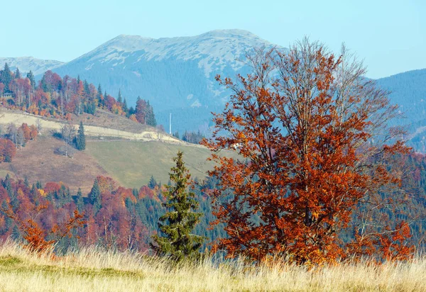 Morgon hösten Karpaterna landskap. — Stockfoto