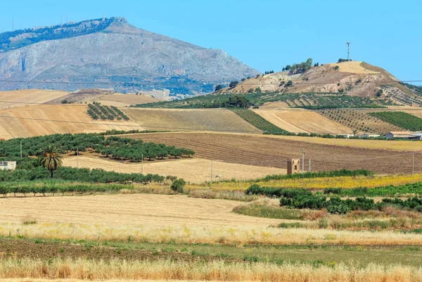 Сильная летняя культура сельской местности, Италия — стоковое фото