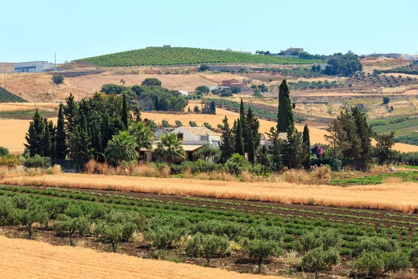 イタリア、シチリア島夏農業田園地帯 — ストック写真