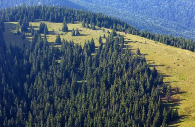 Yaz Karpat Dağ Manzaralı