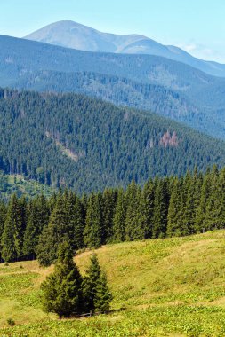 Yaz dağ manzarası (Karpat, Ukrayna).