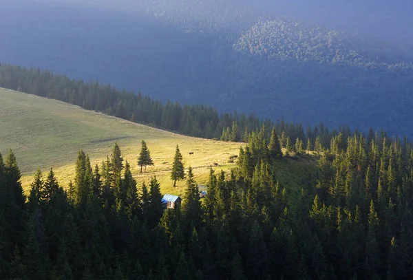 Widok na góry Karpackie lato — Zdjęcie stockowe