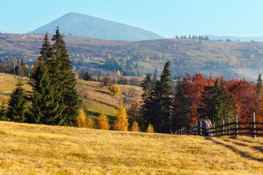 Sonbahar Karpat Köyü, Ukrayna.
