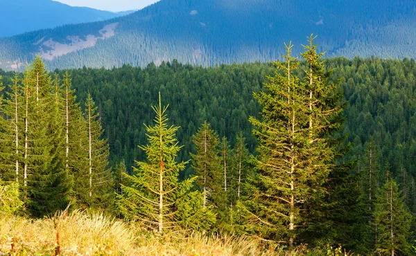 Sommaren Ihrovets bergsutsikt (Karpaterna, Ukraina). — Stockfoto