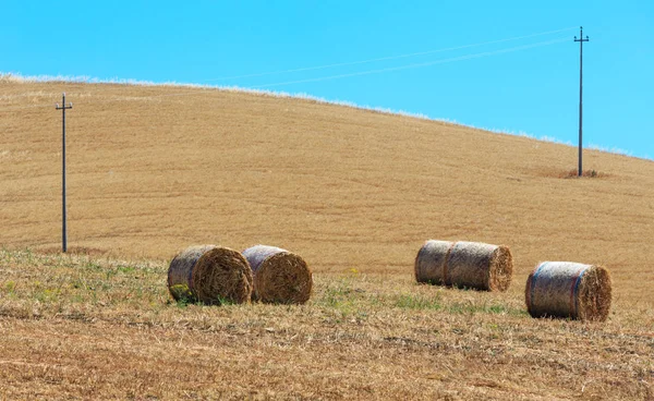 Sicilien sommer landbrug landskab, Italien - Stock-foto