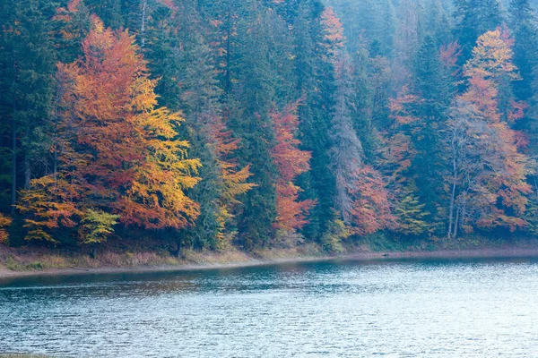 Lake Synevyr autumn view. — Stock Photo, Image