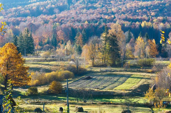 Jesienią karpackiej wsi (Ukraina). — Zdjęcie stockowe