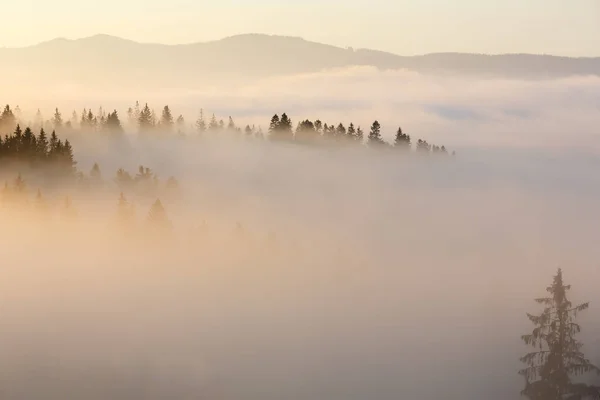 Herbstkarpaten, Ukraine. — Stockfoto