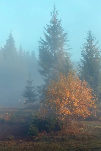 Podzimní Karpaty, Ukrajina. — Stock fotografie