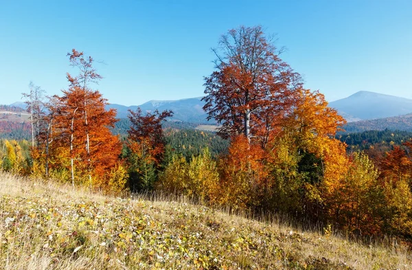 Podzimní ráno Karpaty krajina. — Stock fotografie
