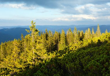 Yaz Karpat dağ, Ukrayna