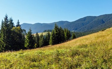 Yaz dağ manzarası (Karpat, Ukrayna).